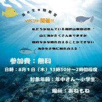 画像253