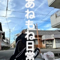 画像348