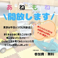 画像501