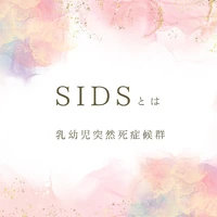 画像513